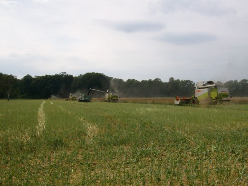 IMGP7044.jpg
