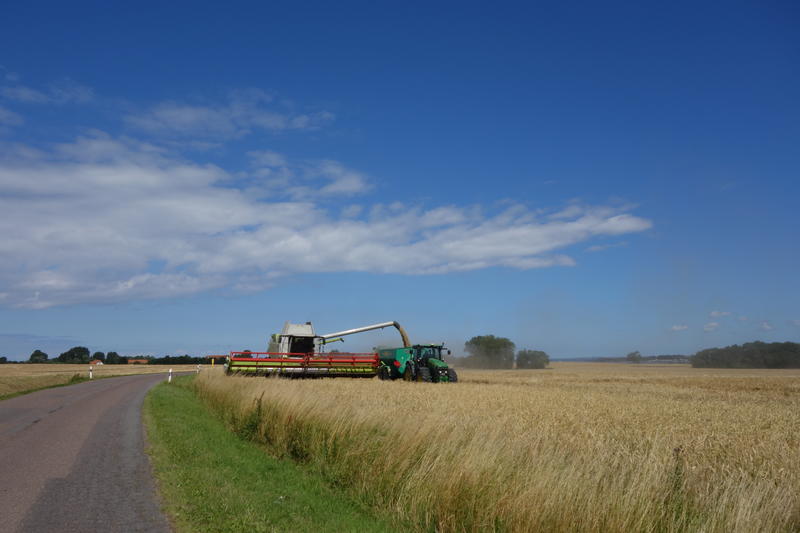bilder/2024_07_01/DSC07566.jpg