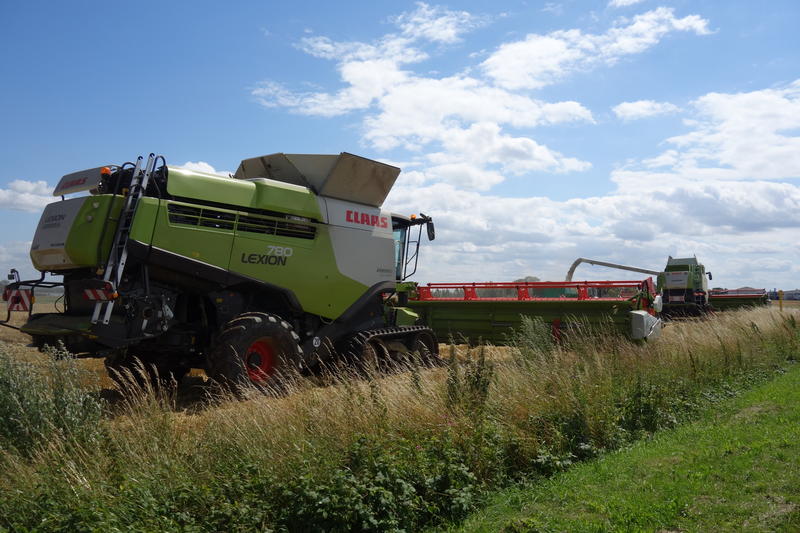 bilder/9_4_2002/terra_gator_6.jpg