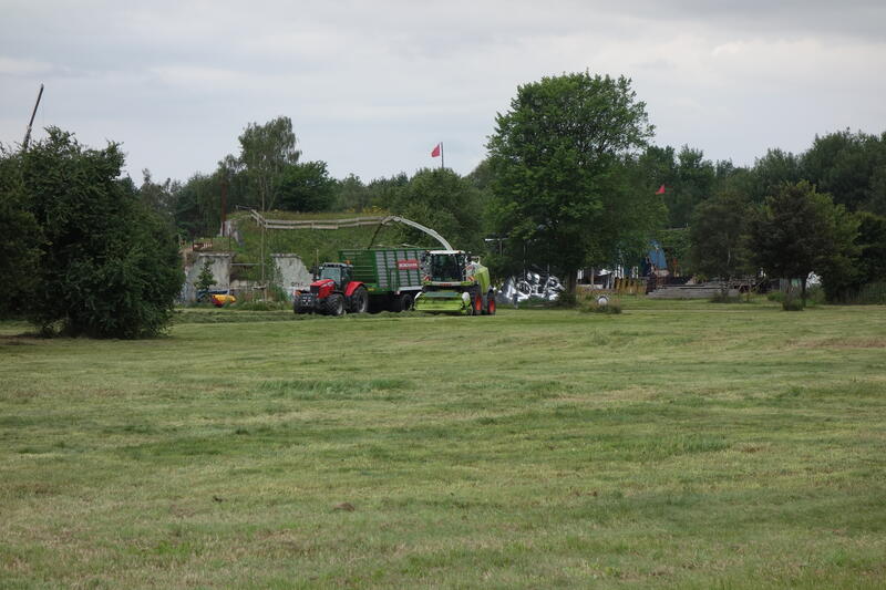 bilder/17_7_2020/DSC09638.jpg