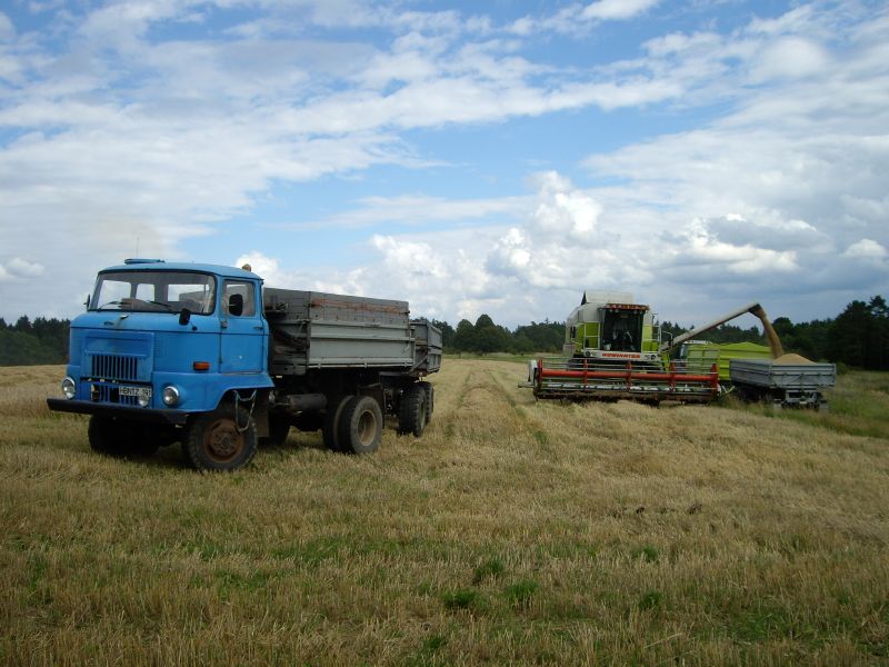 IMGP0795.jpg
