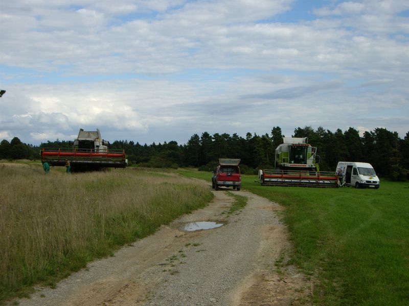 IMGP0822.jpg