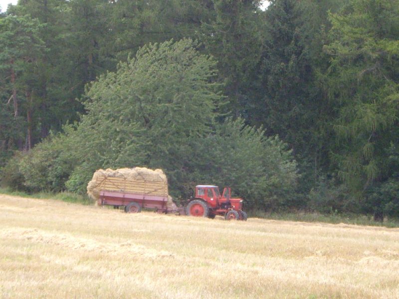 IMGP0819.jpg