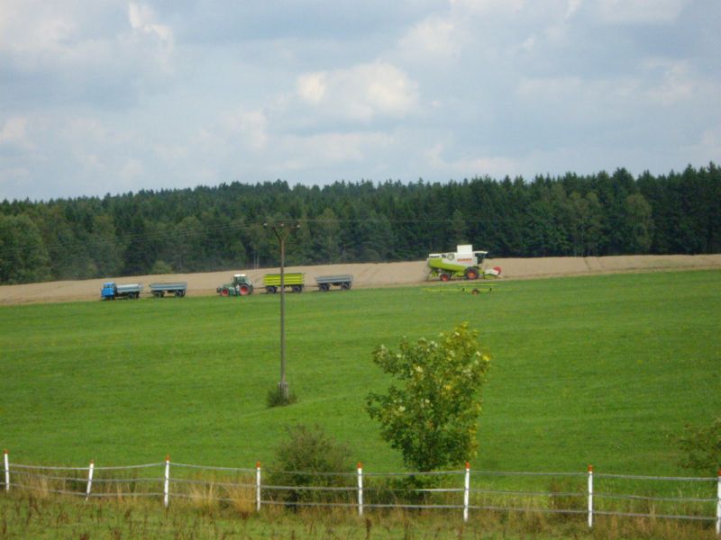 IMGP1409.jpg