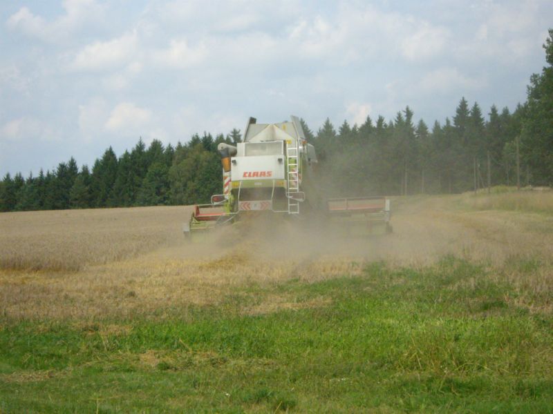bilder/17_8_2008/IMGP1415.jpg
