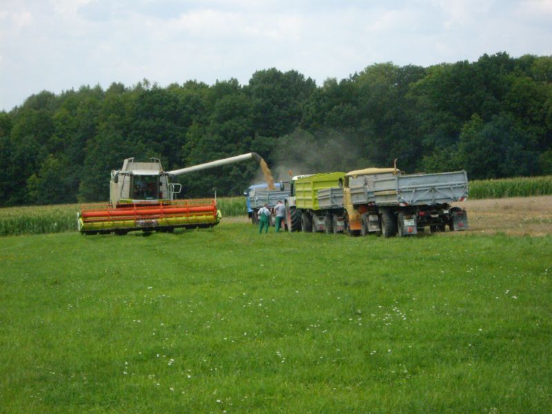 bilder/3_9_2004/lexion_10.jpg