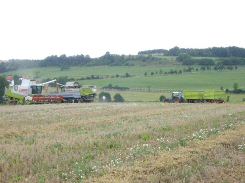 bilder/2023_06_07/IMG-20230607-WA0018.jpg