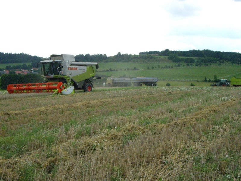 bilder/14_8_2011/CIMG4382.jpg
