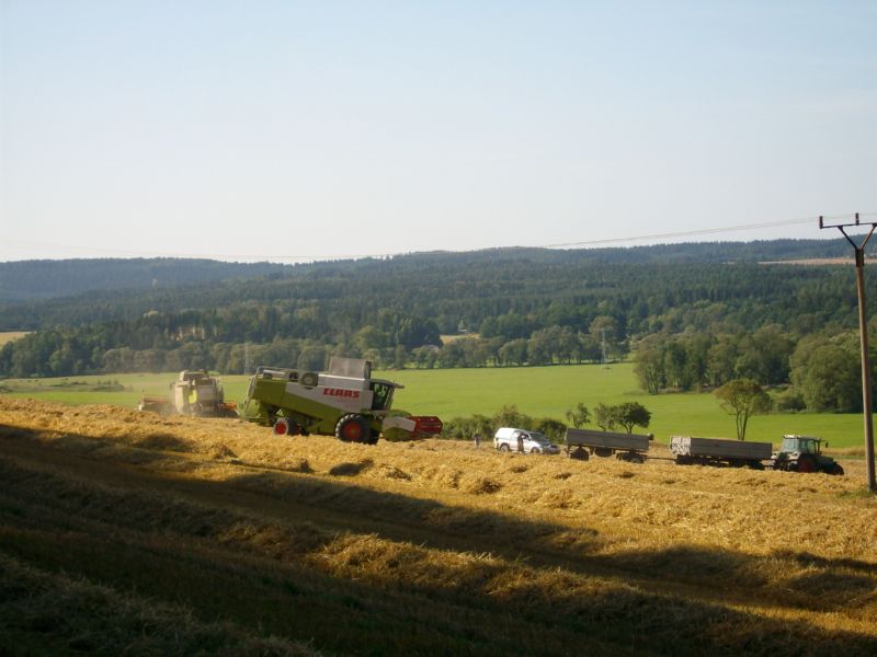 IMGP7564.jpg