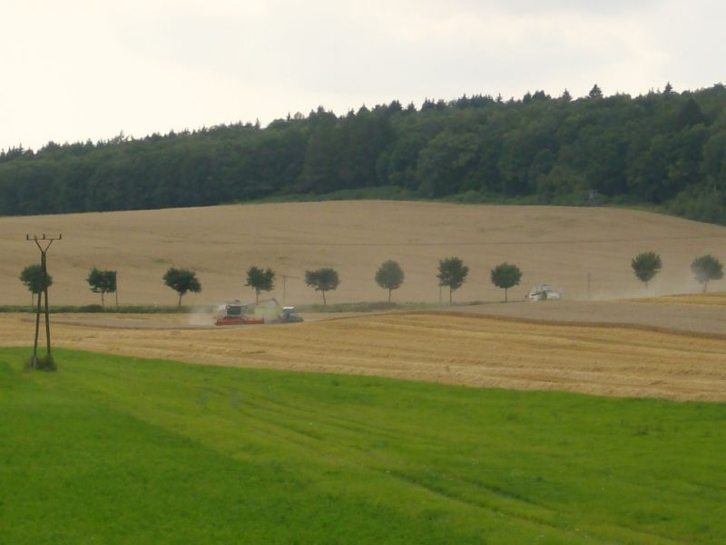 bilder/7_10_2021/DSC01824.jpg