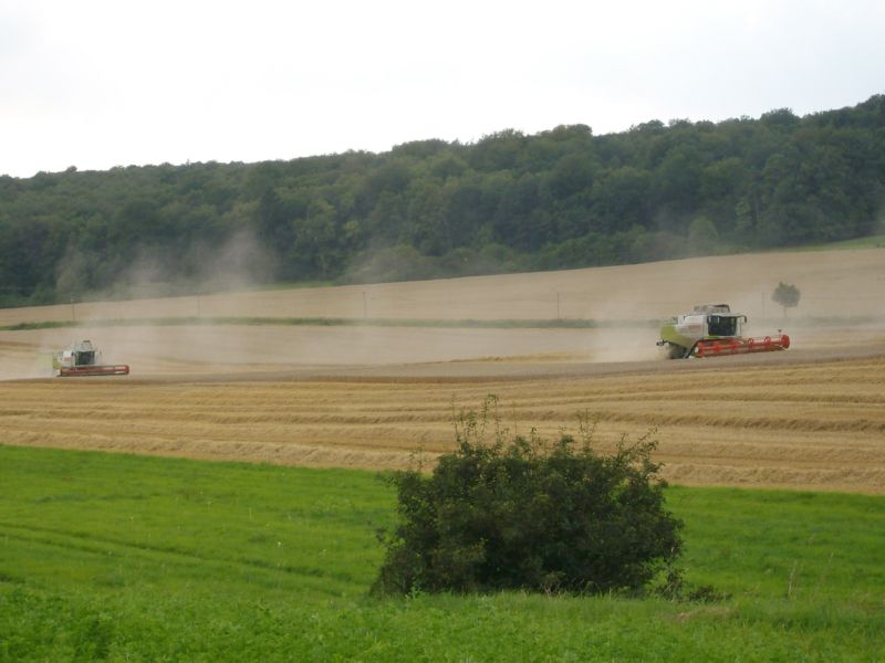 bilder/2024_07_17_3/DSC08170.jpg
