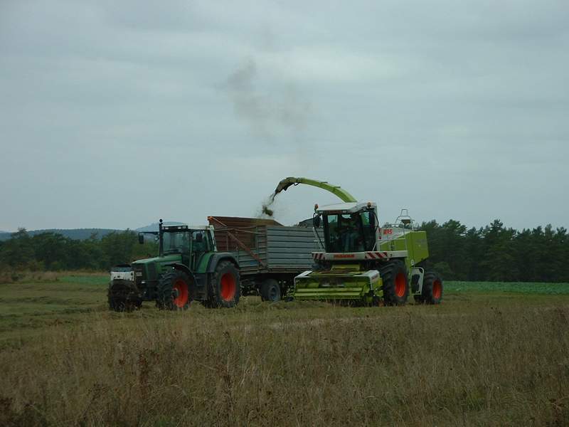 jaguar_+_fendt_824_2.jpg