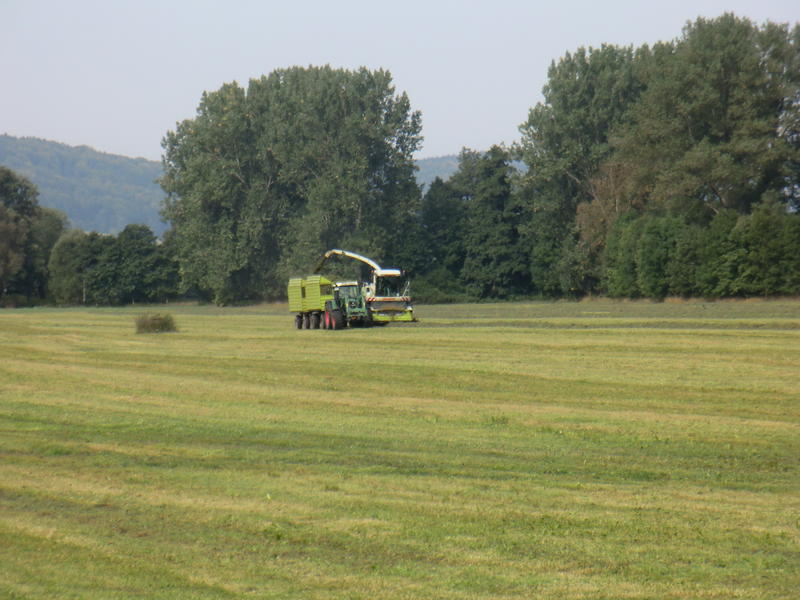 bilder/28_8_2012/CIMG0283.jpg
