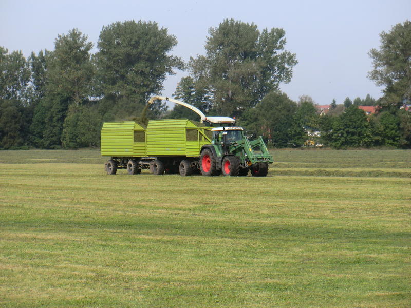 bilder/17_9_2012/CIMG0719.jpg