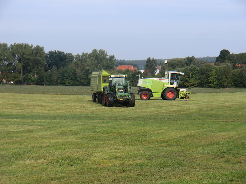 bilder/17_9_2012/CIMG0720.jpg