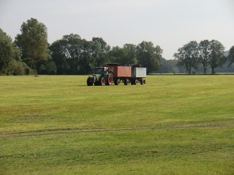 bilder/19_9_2012_2/CIMG0902.jpg