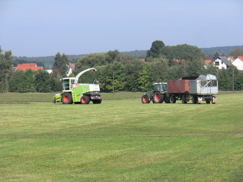 CIMG0725.jpg