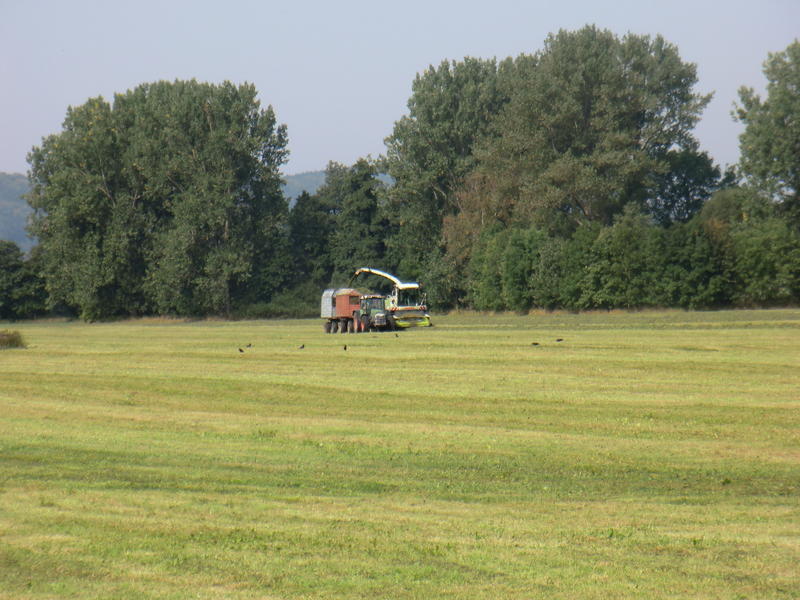 bilder/11_8_2012/CIMG0035.jpg