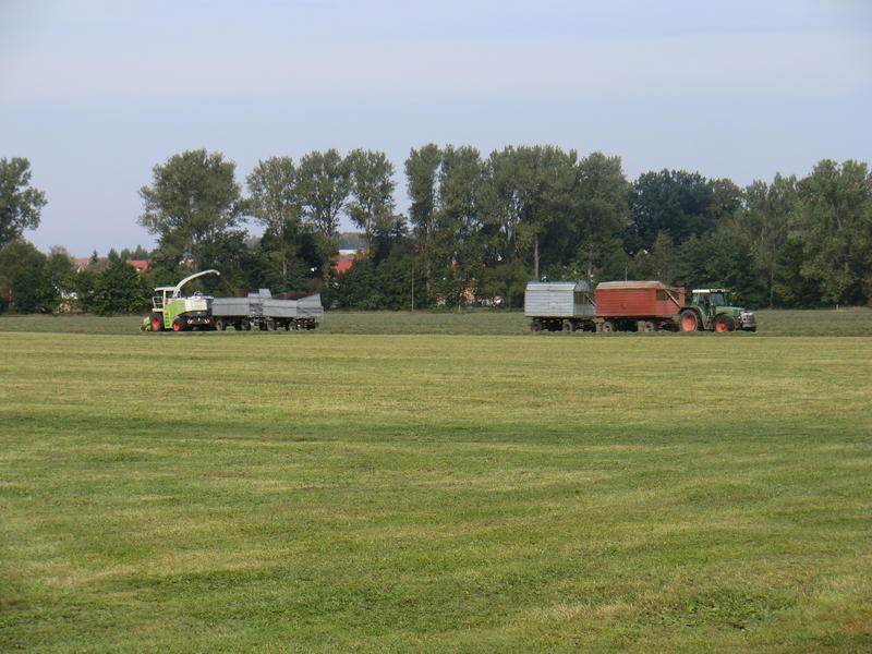 CIMG0738.jpg