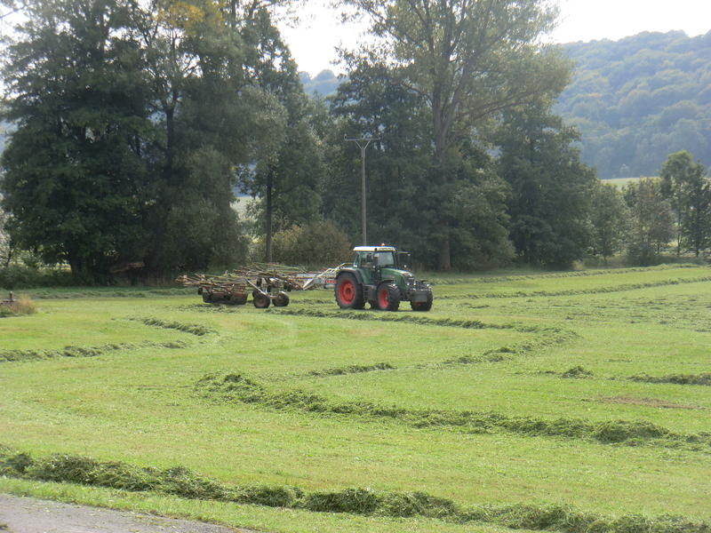 bilder/17_9_2012/CIMG0744.jpg