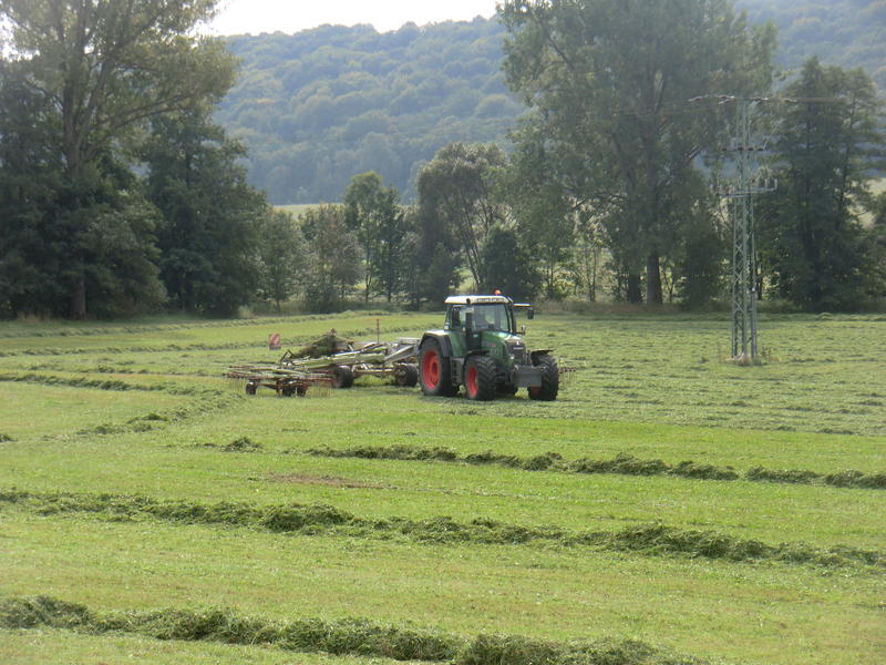 CIMG0745.jpg