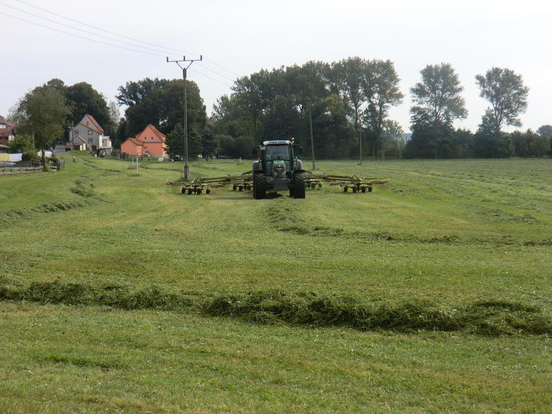 CIMG0746.jpg