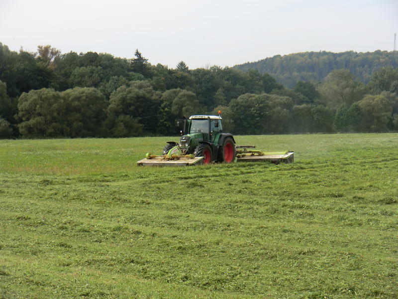 bilder/5_10_2013_2/CIMG0116.jpg