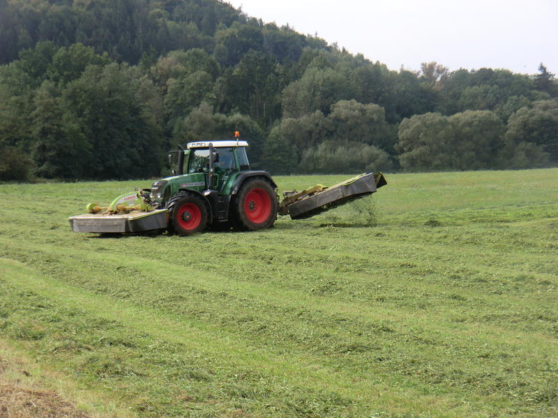 bilder/17_9_2012/CIMG0752.jpg