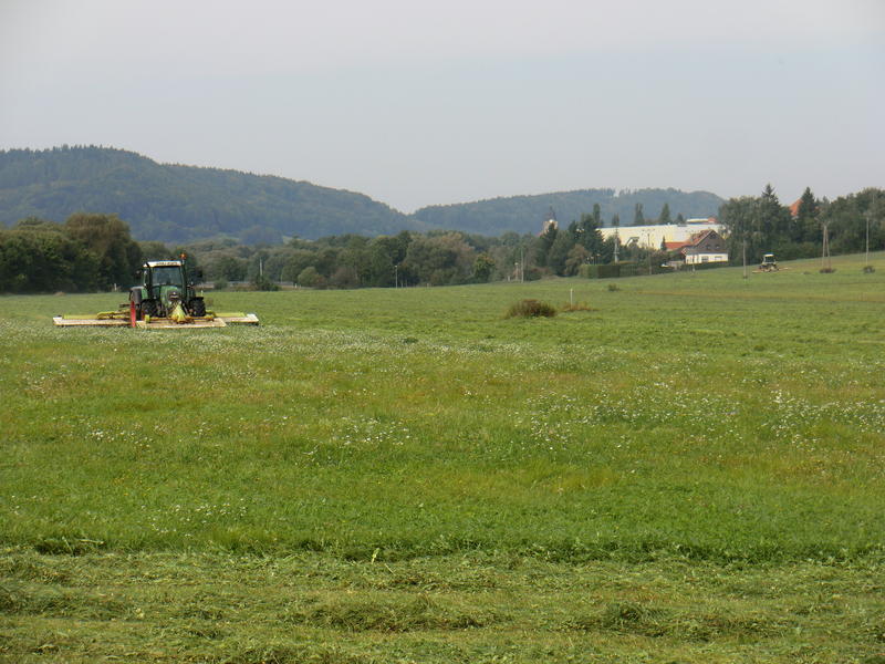 bilder/17_9_2012/CIMG0757.jpg