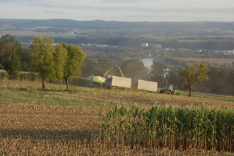 DSC00323.jpg