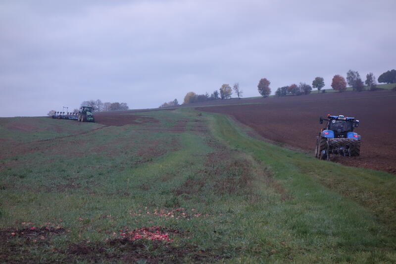 bilder/18_10_2022/DSC04349.jpg