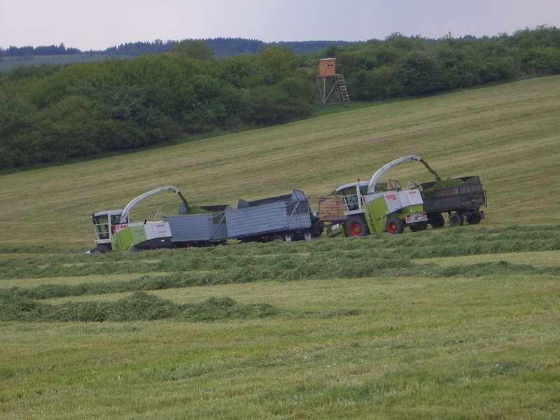 bilder/18_5_2005/2x_jaguar_fendt_514_w50_3.jpg