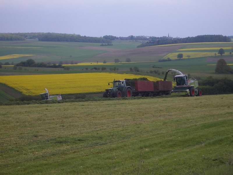 bilder/18_5_2005/2x_jaguar_fendt_824.jpg