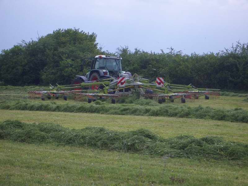 bilder/18_5_2005/fendt_716_6.jpg