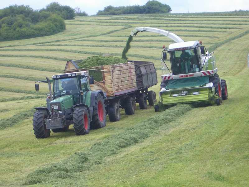 bilder/18_7_2005/fendt_818_zt_303.jpg