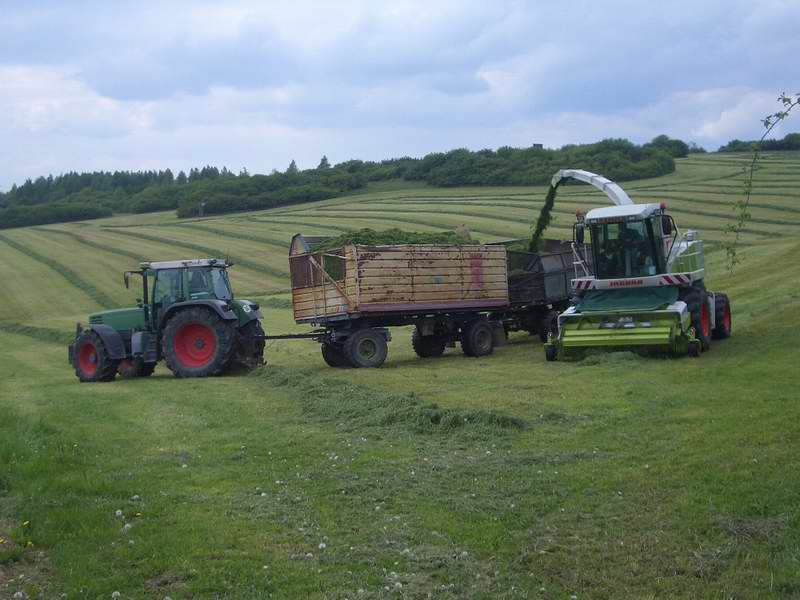 jaguar_fendt_514_11.jpg