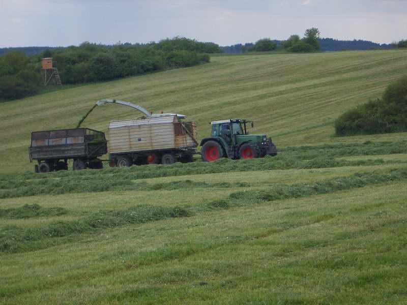 bilder/18_5_2005/jaguar_fendt_514_8.jpg