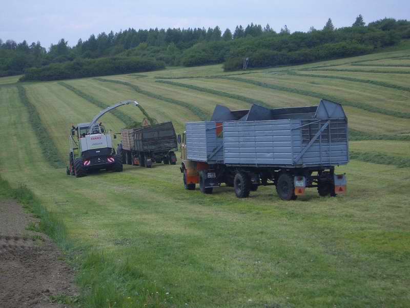 jaguar_fendt_514_w50.jpg