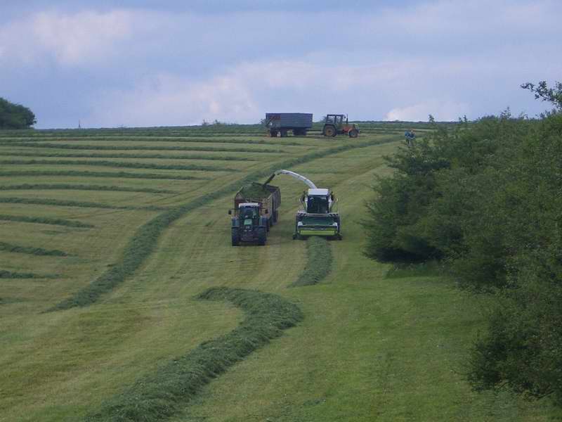 jaguar_fendt_514_zt_323.jpg