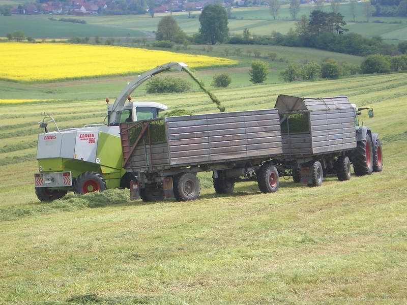 jaguar_fendt_824_10.jpg