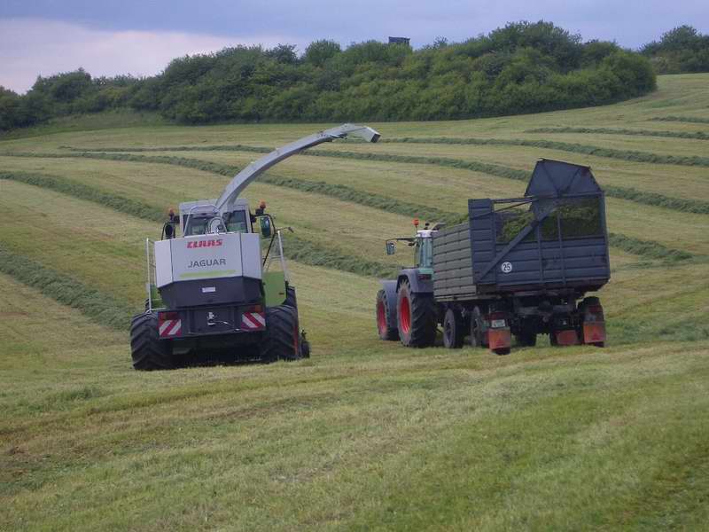 bilder/18_5_2005/jaguar_fendt_824_22.jpg