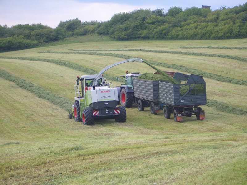 jaguar_fendt_824_23.jpg