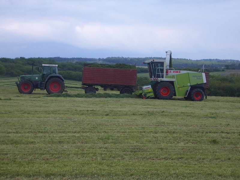 jaguar_fendt_824_3.jpg