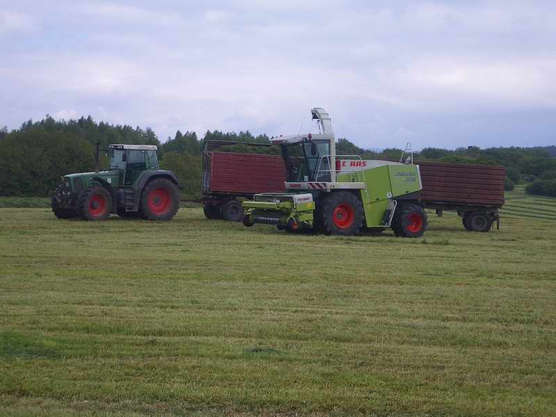 jaguar_fendt_824_4.jpg