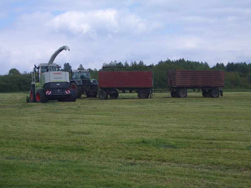 jaguar_fendt_824_5.jpg