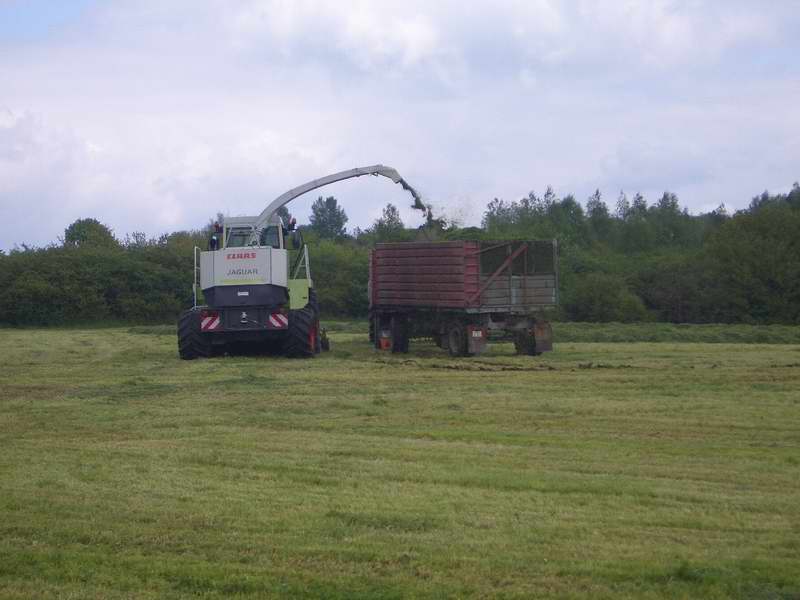 bilder/18_5_2005/jaguar_fendt_824_6.jpg