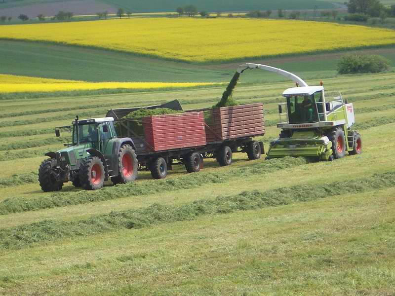 jaguar_fendt_824_8.jpg