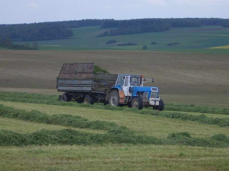 bilder/18_5_2005/zt_303_3.jpg