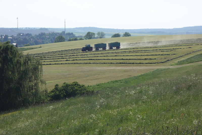 DSC08143.jpg
