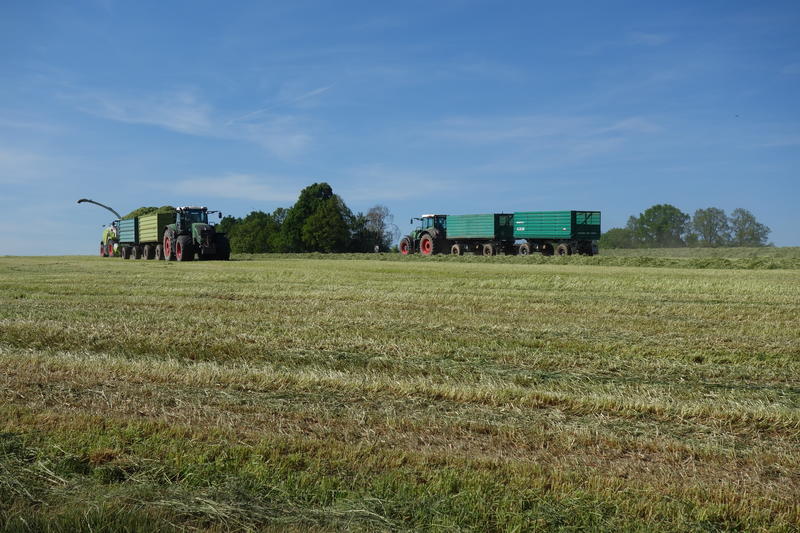 DSC08146.jpg